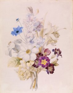 Narzissen und andere Blumen