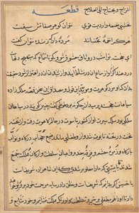 Seite aus Geschichten eines Papageis (Tuti-nama): Textseite von Unknown artist