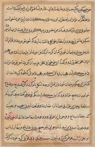 Seite aus Geschichten eines Papageis (Tuti-nama): Textseite von Unknown artist