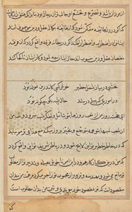 Seite aus Geschichten eines Papageis (Tuti-nama): Textseite von Unknown artist