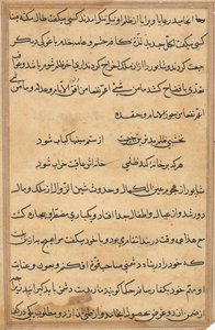 Seite aus Geschichten eines Papageis (Tuti-nama): Textseite