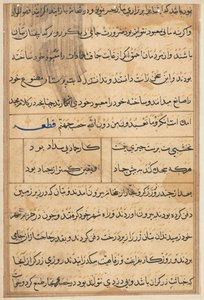 Seite aus Geschichten eines Papageis (Tuti-nama): Textseite von Unknown artist