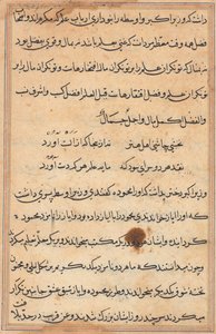 Seite aus Geschichten eines Papageis (Tuti-nama): Textseite von Unknown artist
