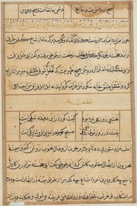 Seite aus Geschichten eines Papageis (Tuti-nama): Textseite von Unknown artist