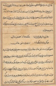 Seite aus Geschichten eines Papageis (Tuti-nama): Textseite von Unknown artist