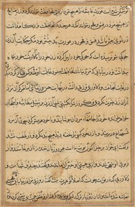 Seite aus Geschichten eines Papageis (Tuti-nama): Textseite von Unknown artist
