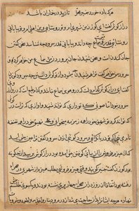 Seite aus Geschichten eines Papageis (Tuti-nama): Textseite von Unknown artist