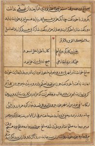 Seite aus Geschichten eines Papageis (Tuti-nama): Textseite von Unknown artist