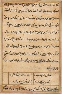Seite aus Geschichten eines Papageis (Tuti-nama): Textseite von Unknown artist