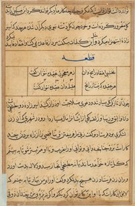 Seite aus Geschichten eines Papageis (Tuti-nama): Textseite von Unknown artist