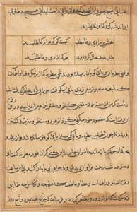 Seite aus Geschichten eines Papageis (Tuti-nama): Textseite von Unknown artist