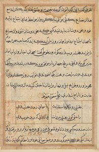 Seite aus Geschichten des Papageis (Tuti-nama): Textseite von Unknown artist