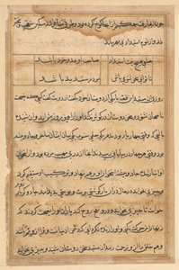 Seite aus Geschichten des Papageis (Tuti-nama): Textseite