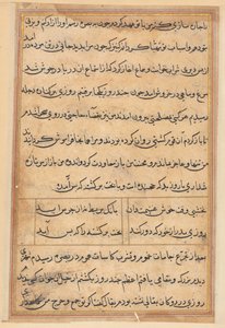 Seite aus Geschichten des Papageis (Tuti-nama): Textseite