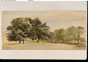 Panorama eines bewaldeten Hains (recto); Landschaft mit Wald rechts (verso)