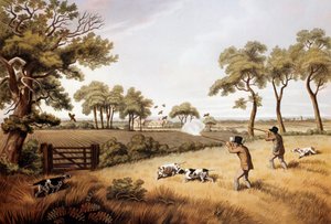 Rebhuhnjagd-Szene