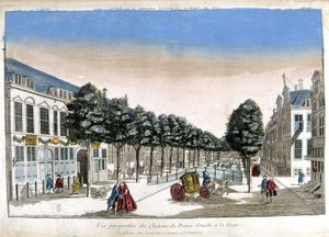 Perspektivische Ansicht von Den Haag: die Kanäle und das Schloss von Prinz Gracht - Optisch