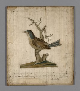 Bild eines Vogels von Unknown artist