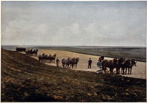 Pflügen in den Manitoba-Ebenen (Kanada), Ende 19. Jahrhundert