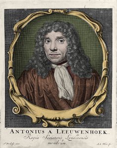Porträt von Antonie Van Leeuwenhoek, niederländischer Naturforscher. Gravur von 1722