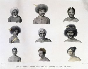 Porträts der Papua von der Insel Rawak. von Unknown artist