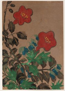 Rote und blaue Blumen und Laub