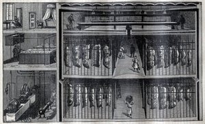 Kühlräume für Fleisch - Gravur aus „La Science française“ von Unknown artist
