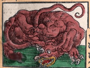 Darstellung eines Drachen. Gravur aus „Den Edlen Strength Besten Fromen“ von Johann Stumpff. 1550