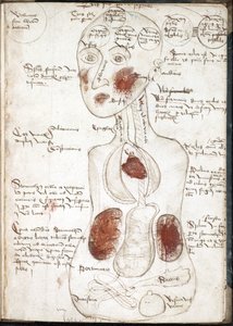 Darstellung einer aristotelischen Theorie des Bewusstseins (Aus: De corpore et anima) - Anonym - 1497