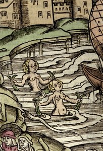 Darstellung von Sirenen. Gravur aus dem 16. Jahrhundert