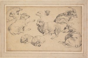 Blatt mit Studien von Schafen, Ziegen und Hunden