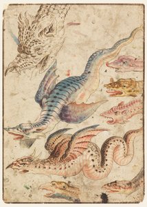 Studien eines Drachen