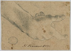 Studie: Eine rechte Hand