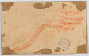 Studie für den rechten Unterarm und die Hand einer Frau