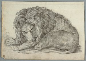 Studie eines Löwen von Unknown artist