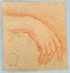Studie einer rechten Hand