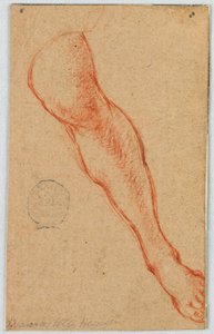 Studie des linken Beins einer sitzenden Frau von Unknown artist