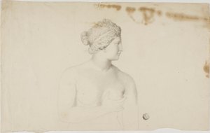 Studie der Medici Venus