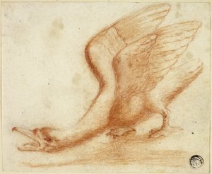 Schwan