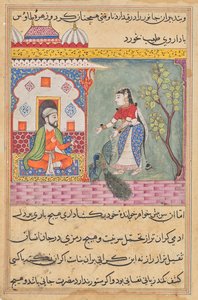 Die Frau des Brahmanen, die einen Pfau tötete und auf Anraten des Arztes dessen Gallenblase aß, aus einem Tuti-nama (Geschichten eines Papageis): Neunzehnte Nacht