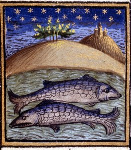 Die Fische. Miniatur eines Horoskops. Manuskript aus dem 15. Jahrhundert. Bibl. Trivulziana, Mailand