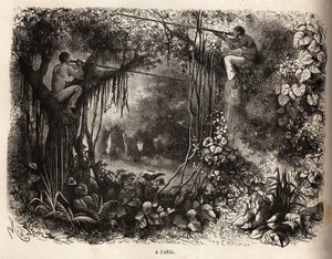 Die Yahua-Indianer von Peru lauern auf Wild, sitzen auf Ästen und bewaffnet mit Blasrohren mit vergifteten Pfeilen. Gravur zur Illustration der Reise vom Pazifischen Ozean zum Atlantischen Ozean durch Südamerika in den Jahren 1848-1860 von Paul M