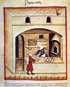 Die Zubereitung von Brot mit Hirse. Beleuchtung aus der Milchwirtschaft und Diätetik „Tacuinum sanitatis“