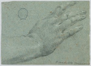 Die rechte Hand eines Mannes