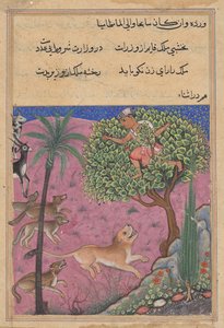 Der Wolf und der Schakal, die als Wesire dienen, stiften den Löwen an, der den Brahmanen auf einen Baum verfolgt, aus einem Tuti-nama (Geschichten eines Papageis): Einundzwanzigste Nacht von Unknown artist