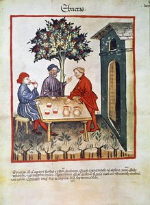 Behandlung der Trunkenheit. Seite aus dem Tacuinum sanitatis (um 1400)