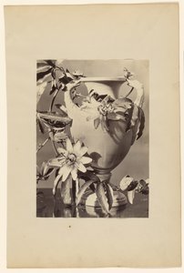 Vase mit Passionsblumen von Unknown artist