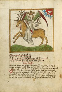 Venus reitet auf einem Hirsch von Unknown artist