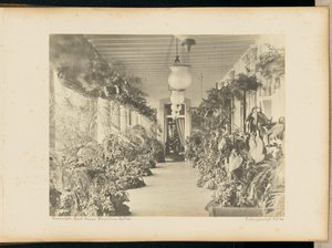 Veranda. Regierungshaus. Mauritius.