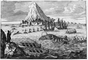 Walfang vor der Insel Jan Mayen. Gravur Anfang des 18. Jahrhunderts
